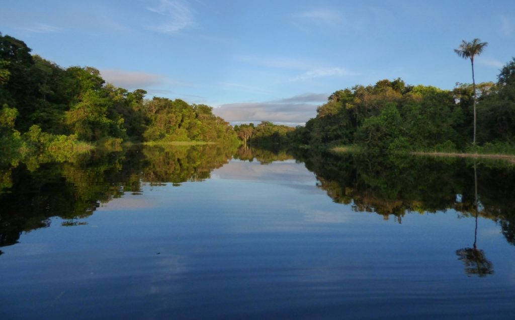 TCN | The Amazon forest: Crucial for Earth’s climate but facing new threats