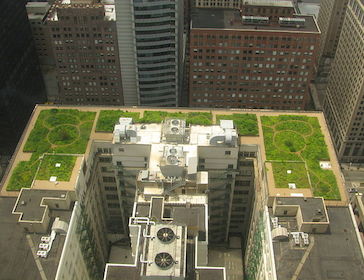 Chicago city hall