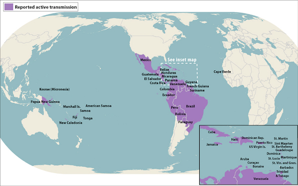 Countries where active transmission of the Zika virus had been reported by May 11, 2016, according to the U.S. Centers for Disease Control and Prevention.