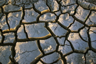 Dry soil