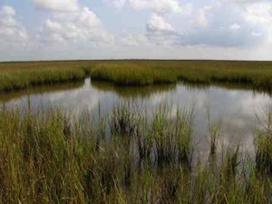 Galveston Bay