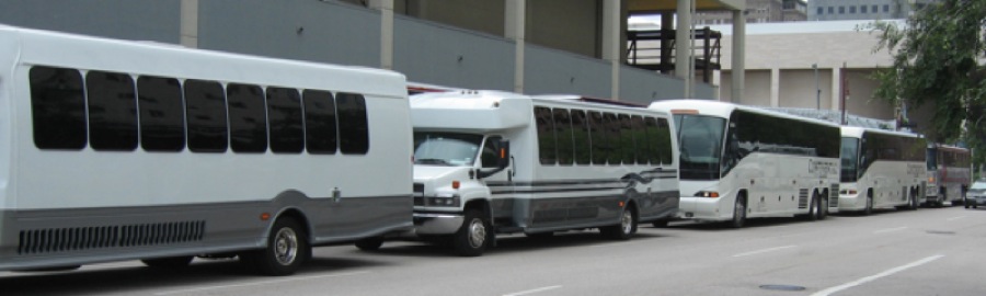 Rally buses