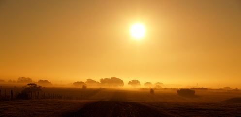 Texas sun