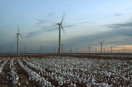 Windmills and cotton